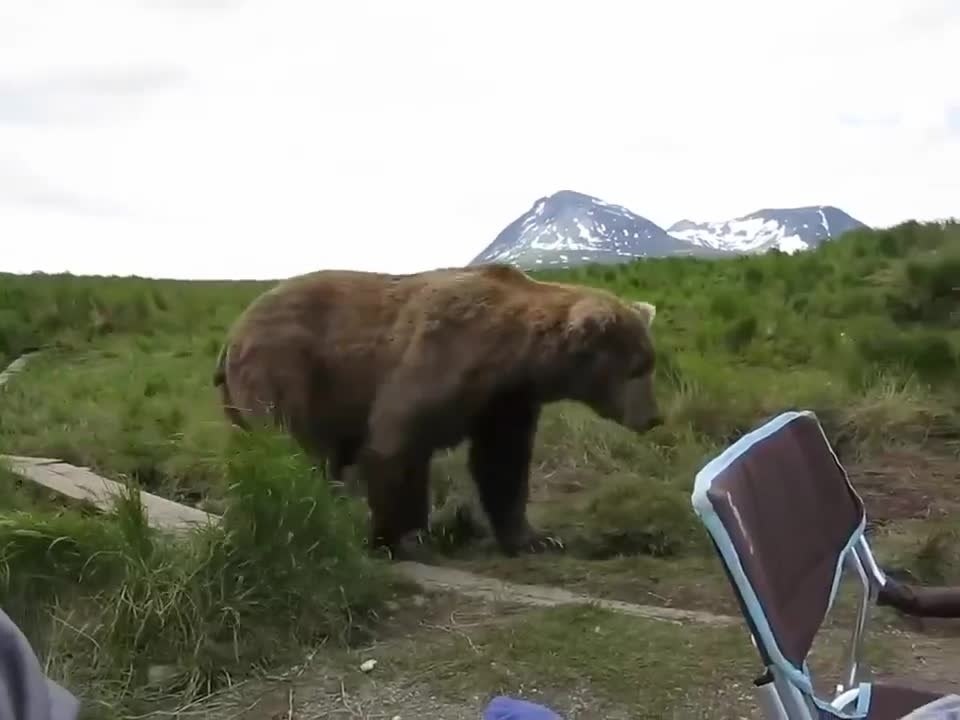 a a��a��e �po��o��a ������e���a� �c�pe�a �e�o�e�a � ���o� �p�po��. e��e��, o����o c���a����c� ...