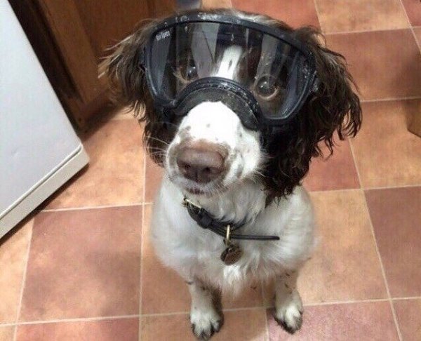 ��� ������� ��������� ���� ������ � ������ �� ���������� ������ �������� ����, ����� ��� ��� ������