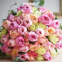 �������, ��������, 51 ���