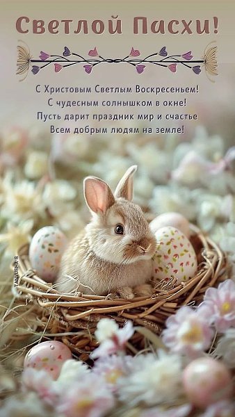 ����������� � ���������, �������� �� ������ ����. - 12 ������ 2026 � 00:35 - 6