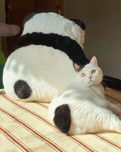  - 3