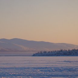 .����, ��������, 49 ���