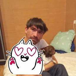 ������, ������, 31 ���