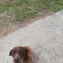 ���� �������, ������, 44 ���� - ��������� 25 ������� 2023