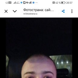 , 37, 