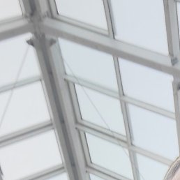 ��������, ����, 44 ����