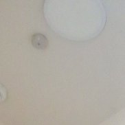 ���, 49 ���, �����