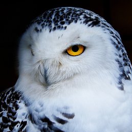 ���� ����, ������������, 57 ��� - ��������� 28 ������� 2024