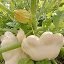 ���� �����, �����������, 49 ��� - ��������� 1 �������� 2024 � ������ ���� ����������