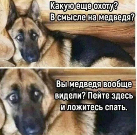 ������ - 29 ��� 2025 � 13:06