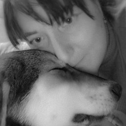 ������, �������, 41 ���