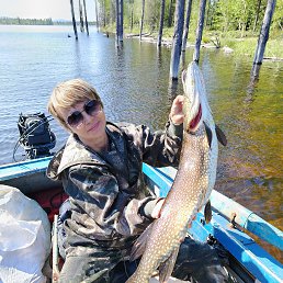 ���� �������, ���������� - ��������� 4 ������ 2026