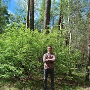 ���� �����������, 20 ���, ������