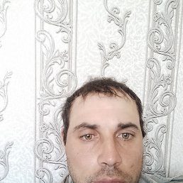 , 33, 