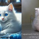 ���� ����, �����-��������� - ��������� 20 ������ 2026 � ������ ������ ��������