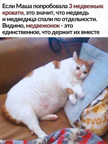 ������� ������� ������.����� �������, ��� ��� ��������