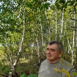 ���� ����, ������, 71 ��� - ��������� 1 ������ 2023