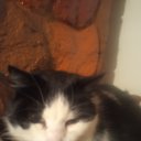 ���� �������, ������, 53 ���� - ��������� 28 ������ 2024 � ������ ���� ����������