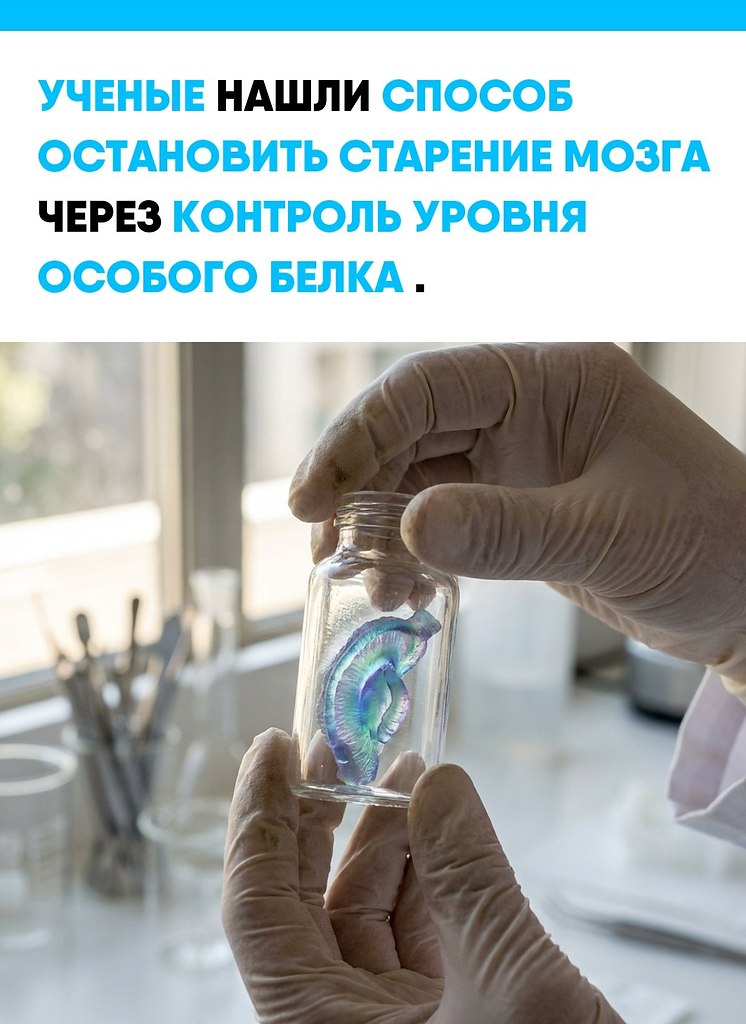 ��e��a��c�� ��c�����a �cc�e�o�a��� c�ape��� �a�apa �p� a���op���c�o� ����epc��e�e � �a�-pa���c�o ... - 3