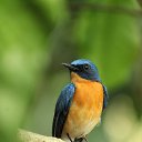 ���� �����, �������, 50 ��� - ��������� 31 ���� 2024