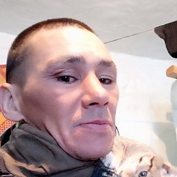 �������, �������, 39 ���