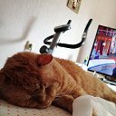 ���� ������, ���������, 67 ��� - ��������� 11 ����� 2024 � ������ ������ ��������