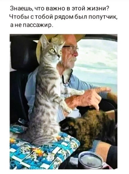  - 21  2024  17:59