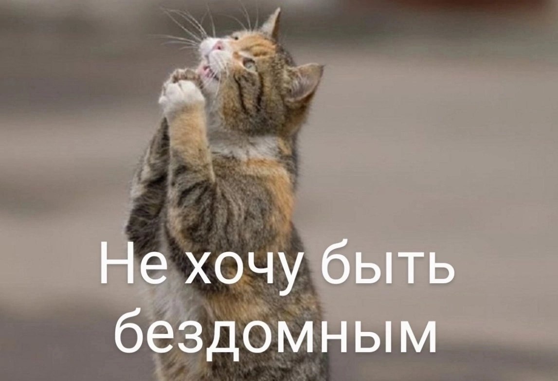        Ѩ    ȅ.   729 ...