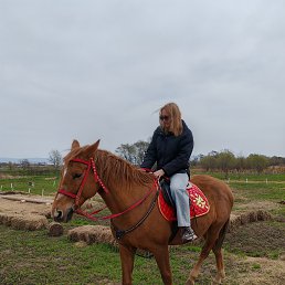 ���� �����, ���������, 55 ��� - ��������� 13 ��� 2025