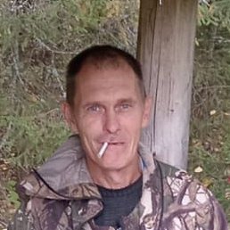 �����, ������, 55 ���