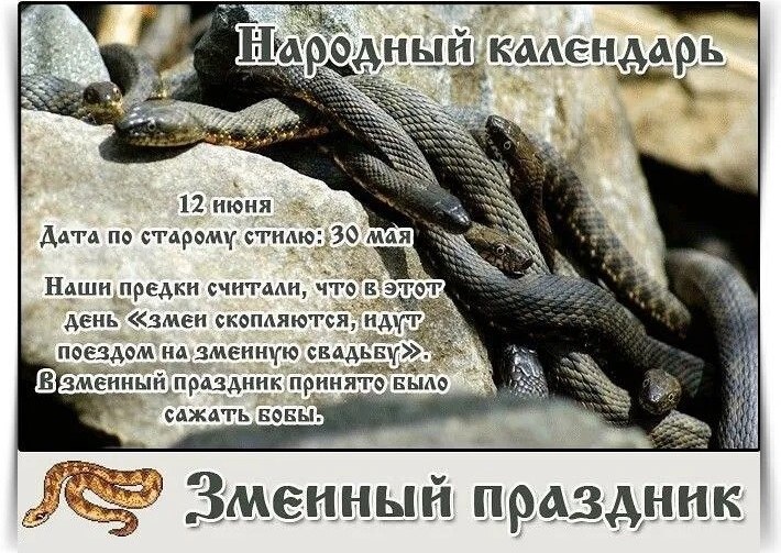12 июня – Исаакий-змеевик, Исакиев день, Змеиный праздник. —————————————— Дата по старому стилю: 30 ...