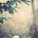 ���� �����, ������ �������� - ��������� 27 ���� 2025 � ������ ���� ����������