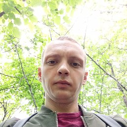 , 29, 