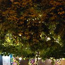  Irina, , 56  -  6  2025    