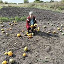 ���� ���������, �����, 69 ��� - ��������� 24 ������� 2025 � ������ ���� ����������