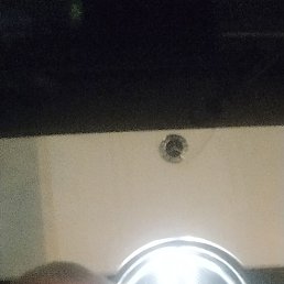 , 53, 