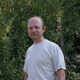 ����, 46 ���, ����������