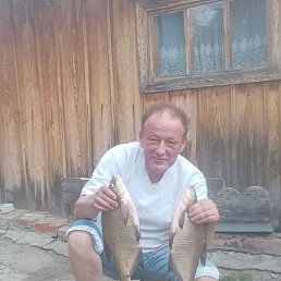 , 54, 