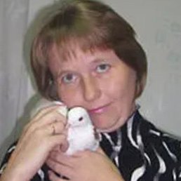, 38, 