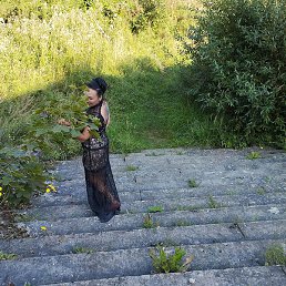 ����, �����-���������, 54 ����