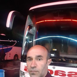 , 42, 