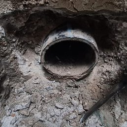 ���� ��������, �������, 53 ���� - ��������� 11 ������ 2024