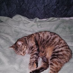 ���� ���, ����, 52 ���� - ��������� 30 ������ 2023