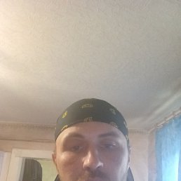  , 38, 