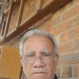 , 65, 