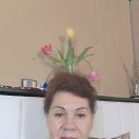 ���� ������, �����������, 65 ��� - ��������� 7 ���� 2026 � ������ ���� ����������