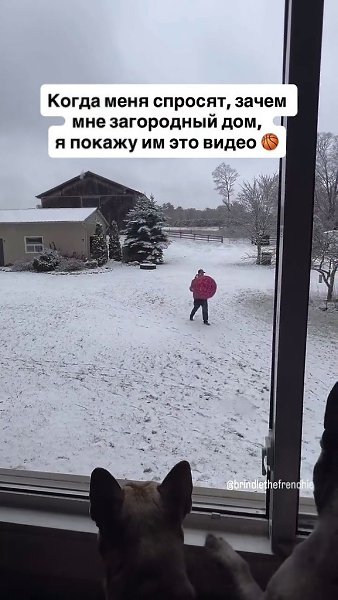 �������, ������ ��� ����� � ��������� ���������.