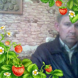 ����, �����, 61 ���