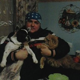 ����, ������, 52 ����