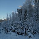 ���� �������, ���������, 65 ��� - ��������� 2 ������� 2026